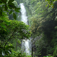 Photo de Bali - Autour de Munduk